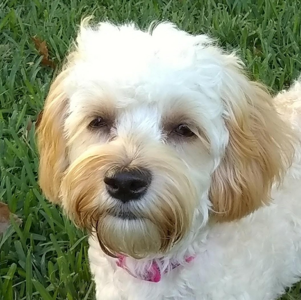 Meet your Posher, Kathleen